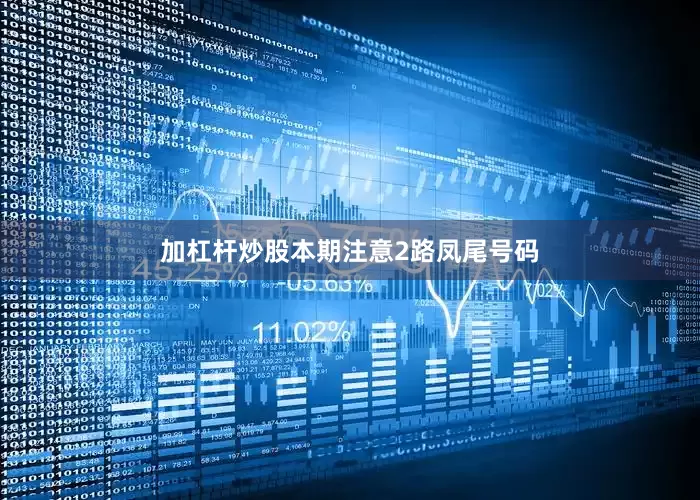 加杠杆炒股本期注意2路凤尾号码