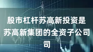 股市杠杆苏高新投资是苏高新集团的全资子公司